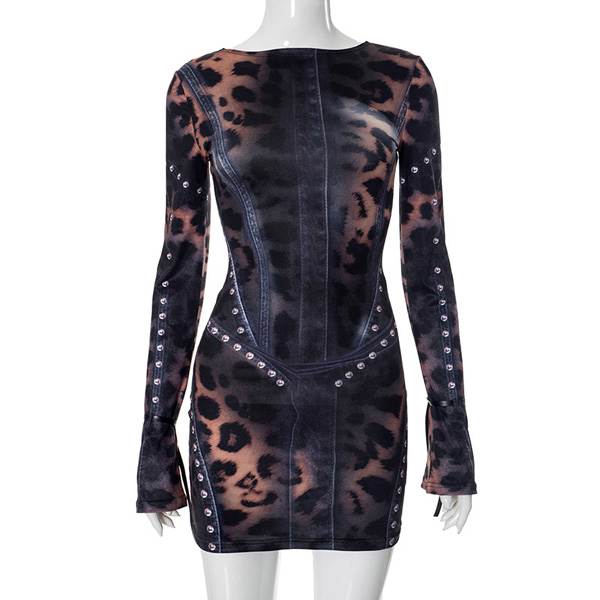 Printed Women Long Sleeve Mini Dress